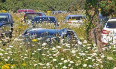 Schrottauto in Meckenheim